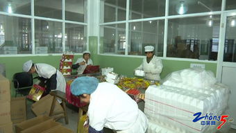 生产工艺现代化为农产品质量保驾护航，助力销售拓展