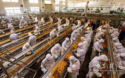 湖北宜昌 柑橘深加工拓宽市场保增收